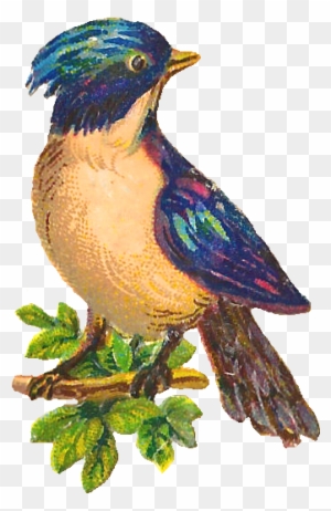 Bird Tree Image Clip Art - Bird In Tree Png
