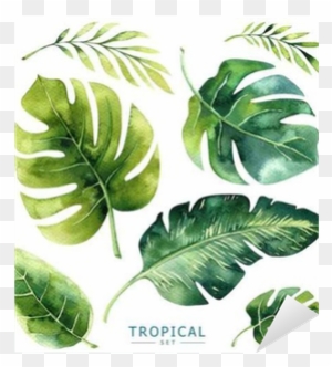 Hand Drawn Watercolor Tropical Plants Set - Exotic Palm Leaves