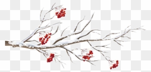 Winter Branch Png Clip Art Image - Wintry Cardinals Small Boxed Holiday Cards