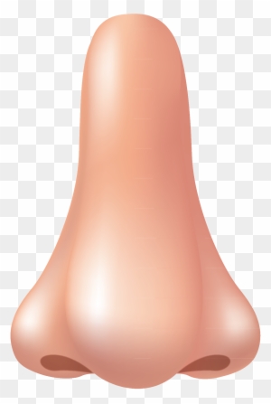 Nose Png Images Free Download Clipart Png - Nose Png - Free Transparent PNG Clipart Images Download Nose Png Images Free Download Clipart Png - Nose Png - Free Transparent PNG Clipart Images Download