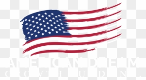 Logo - Flag Of The United States