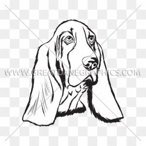 How To Draw a DOG  BASSET HOUND PUPPY  Sketch Sunday  YouTube