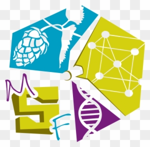 Exhibit Clipart Home Science - Maine Science Festival Logo Png