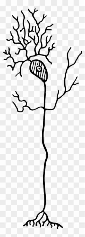 Neuron Clip Art, Transparent PNG Clipart Images Free Download - ClipartMax
