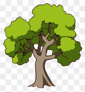 picture Arbre Dessin Facile Couleur arbre dessin arbre a pomme png