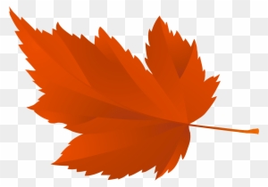 Осенние Листья Для Оформления Школьной Доски Или Группы - Tree Leaf