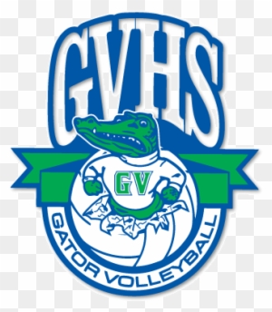 School Logo - Shades Valley High School Mascot - Full Size PNG Clipart ...