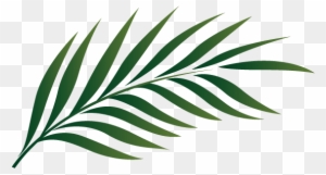 Leafy Branch Clip Art - Palm Tree Leaf Clipart