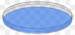 Petri Dish Clip Art, Transparent PNG Clipart Images Free Download