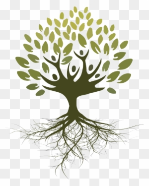 Asociaci N Ra Ces For Dibujo De Arbol Con Raices Y - Arbol Con Raices Png -  Free Transparent PNG Clipart Images Download