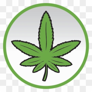 Vaporizer Info - Cartoon Marijuana Leaf