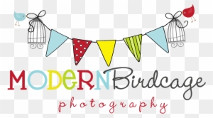 Modern Birdcage Photography - Cute Bird Cage Png