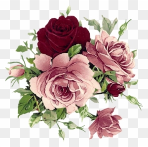Beautiful Pink And Wine Colored Roses - Flowers Vintage