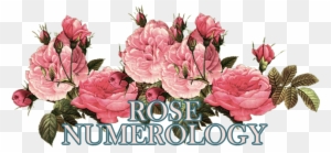 Link To Rose Numerology - It's Been A Long Time Since I Felt Right
