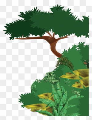 Rainforest Clipart Big Plant Selva Dibujo Png Free Transparent Png Clipart Images Download Rainforest Clipart Big Plant Selva Dibujo Png Free Transparent Png Clipart Images Download