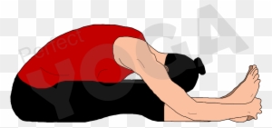 Paschimottanasana Or The Seated Forward Bend Posture - Yoga