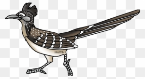 New Mexico State Bird Roadrunner - New Mexico State Bird