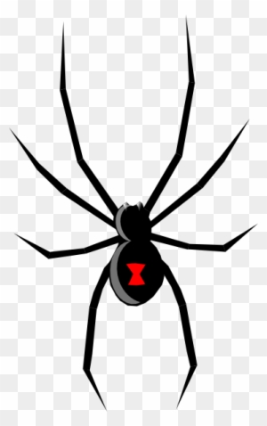 Black Widow Spider Halloween Wall Decal - Black Widow Spider Drawing