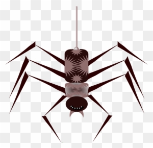 Spider Animated Gif Png