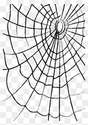Spider Web Clip Art - Spider Web