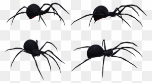 Black Widow Spider Set 03 By Free Stock By Wayne On - Black Widow Spider Profile