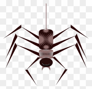 Cartoon, Bugs, Spider, Bug, Free, Web, Insect, Insects - Spider Animated Gif Png