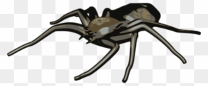 Illustration Of A Spider - Arachnid Clipart