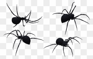 Black Widow Spider Art - Western Black Widow