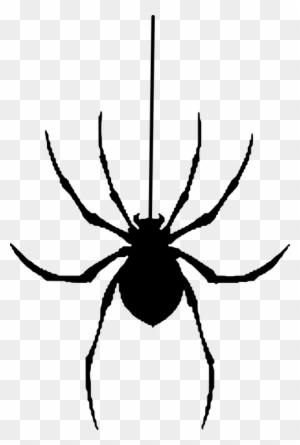 Spider, Silhouette, Halloween, Insect - Spider Vector
