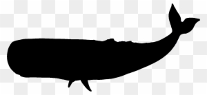 Featured image of post Silhouette Whale Shark Clipart Polish your personal project or design with these shark silhouette transparent png images make it even more personalized and more attractive