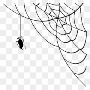 Permalink To Spider Web Png Bear Clipart - Spider On Web Png