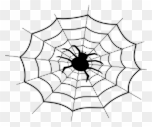 On Spider Net - Spider Web Shower Curtain
