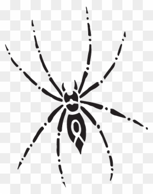 Arachnid Spider, Body, Eight, Art, Legs, Arachnid - Spider Top View Drawing