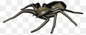 Spider Vector Clip Art - Arachnid Clipart
