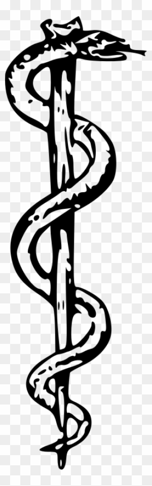 20 Amazing Caduceus Tattoo Designs  PetPress