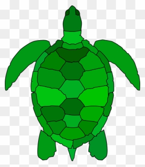Turtle Animal Reptile Water Green Ocean Shell - Sea Turtle Clipart