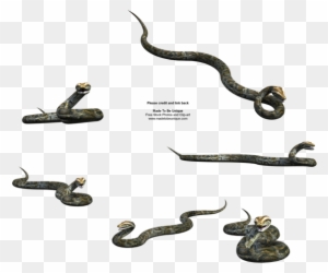 Madetobeunique 216 69 Hanging Python Snake Free Imag - Hanging Snake ...