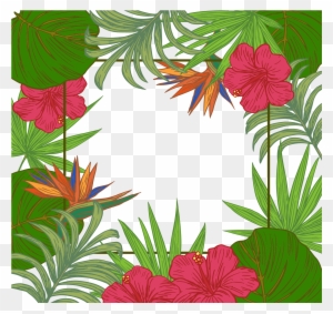 Leaf Arecaceae Tree Wallpaper - Tropical Border Png
