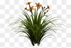 Plants And Vegetation Stock By Wolverine041269 On Deviantart - Artificial Tree Grass Plant