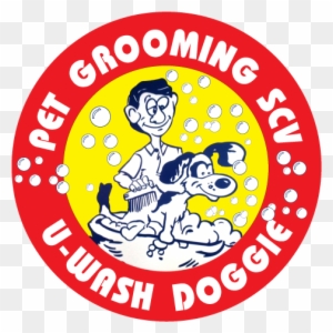 Start The New Year Right With Your Pet Professionally - U Wash Doggie