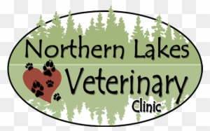 At The Northern Lakes Veterinary Clinic, We Consider - Cafepress My Soaps Rectangle Magnet