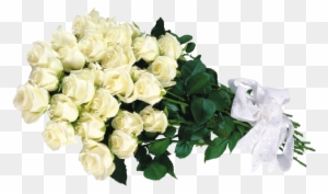 White Roses Zoom - 30 White Roses