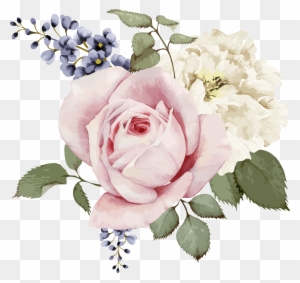 Rose Painting Stock Illustration Flower - Flower Vector