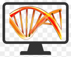 Monitor With A Double Helix - Computer Monitor - Free Transparent PNG ...