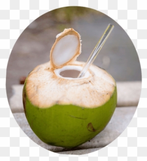 Free Green Coconut Png - Coconut Water With Straw