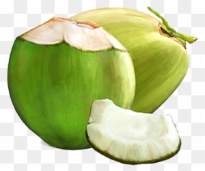 Tender Coconut - Green Coconut Fruit Png - Free Transparent PNG Clipart ...