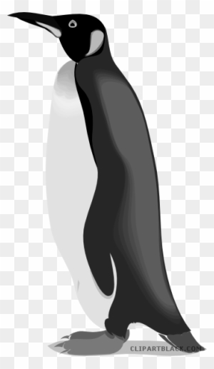 Emperor Penguin Animal Free Black White Clipart Images Pingouin Dessin De Cote Free Transparent Png Clipart Images Download Emperor Penguin Animal Free Black White Clipart Images Pingouin Dessin De Cote Free Transparent Png Clipart Images Download