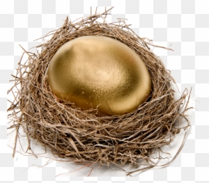 Chicken Easter Egg Nest Stock Photography - Bird Nest