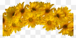 Flower Crown Clipart Transparent Png Clipart Images Free Download Page 2 Clipartmax - transparent yellow flower roblox icon aesthetic yellow
