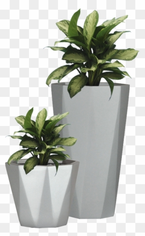 Diamond Pattern Garden Planter Small Flower Pot Commercial - Garden Pot Plants Png